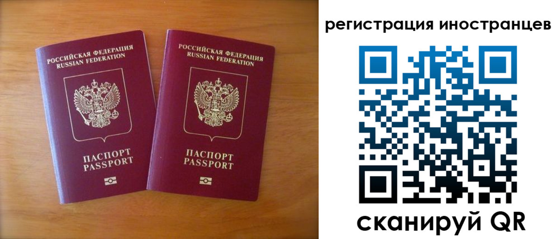 прописка поиск в Вольске